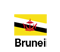 Bruinei